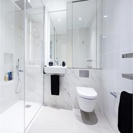 A luxury steel-framed bathroom pod